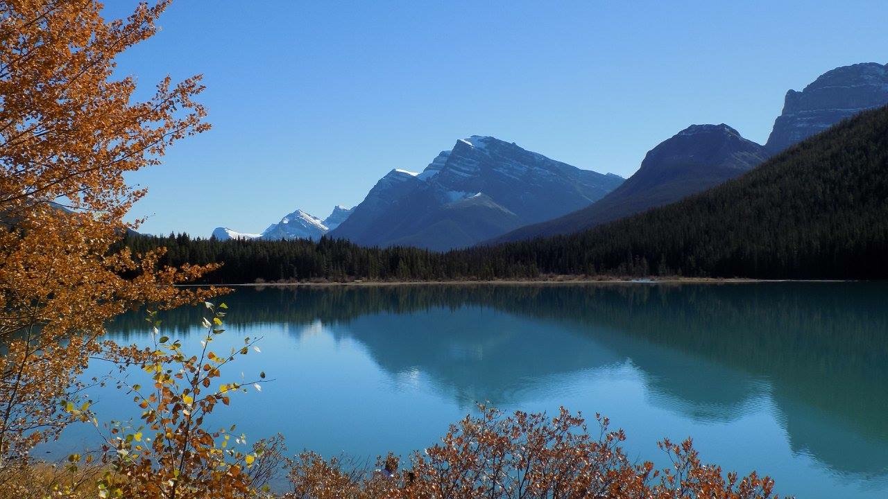 10.5 - 5 - Waterfowl Lakes, Jasper NP